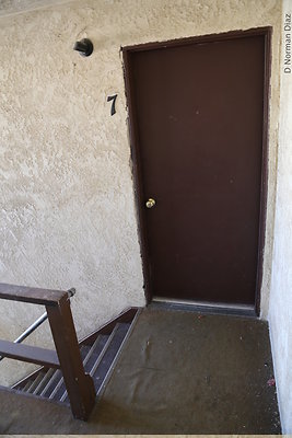 IMG 7115