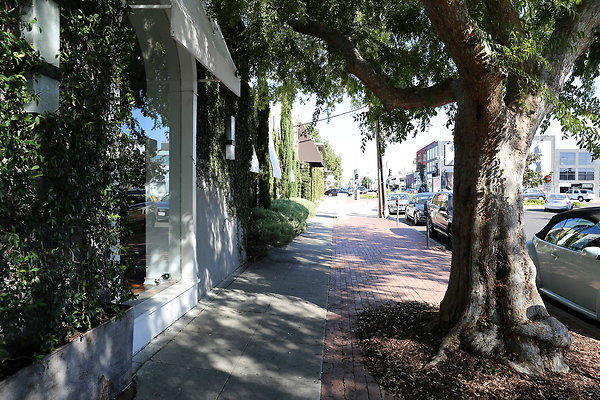 Melrose Place-Streets-03