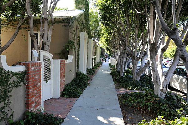 Melrose Place-Streets-21