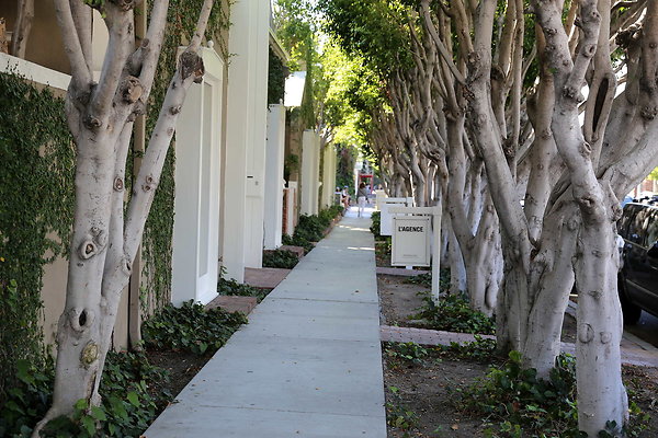 Melrose Place-Streets-19