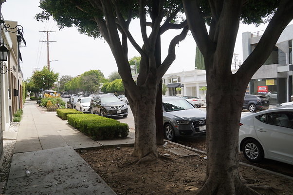 Empty.M.Vanni.MP.09 Empty.M.Vanni.MP.09