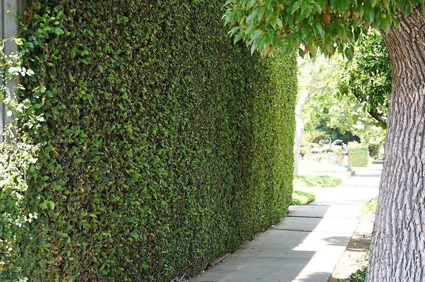 Empty.Space.East.MP.13 Empty.Space.East.MP.13