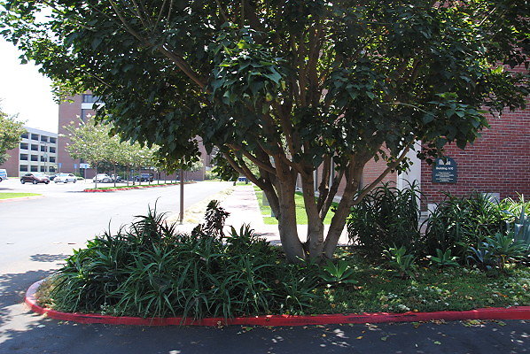 DSC 0286