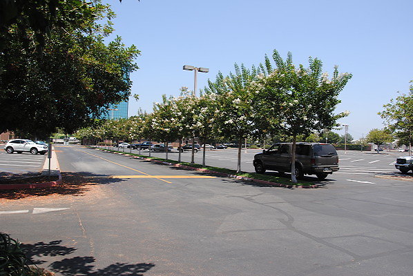 DSC 0265