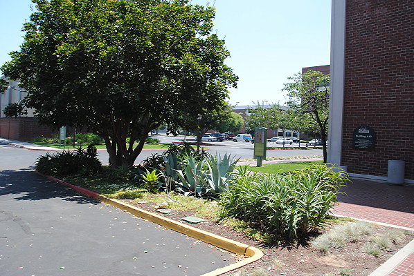 DSC 0284