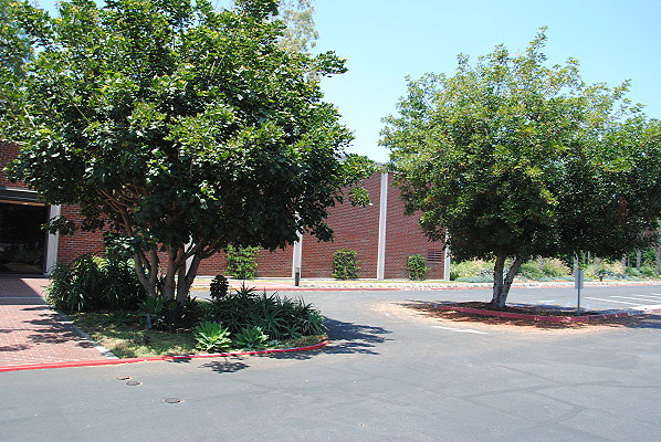 DSC 0263
