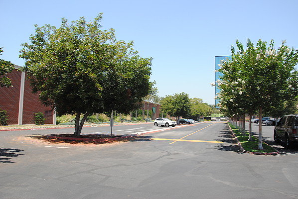 DSC 0264