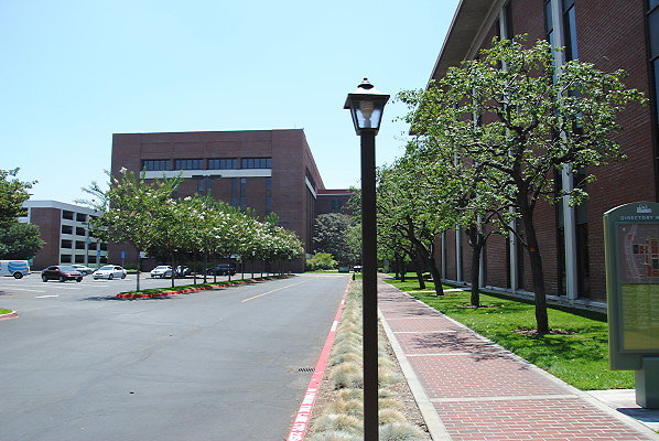DSC 0268