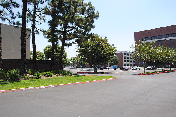 DSC 0267