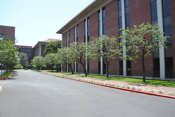 DSC 0261
