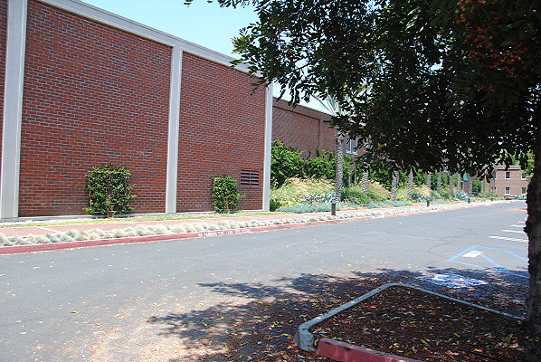 DSC 0289