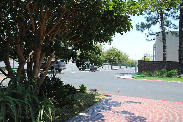 DSC 0273