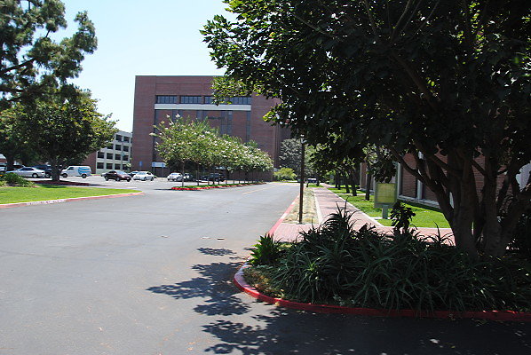 DSC 0293