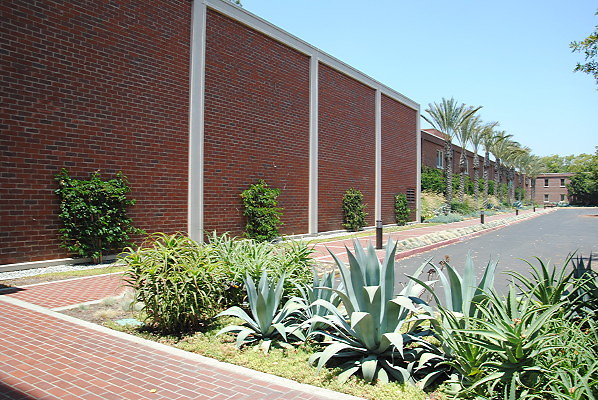 DSC 0271