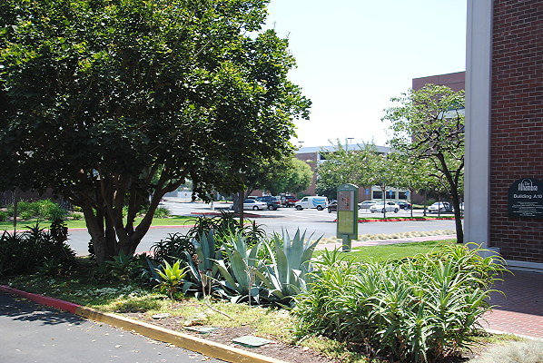 DSC 0281