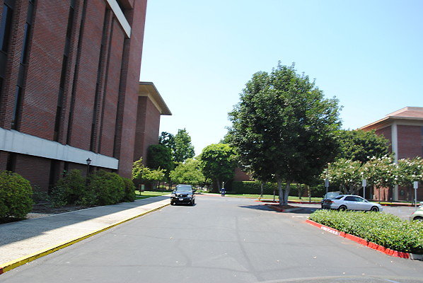 DSC 0347