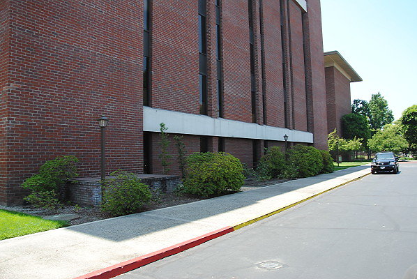 DSC 0346