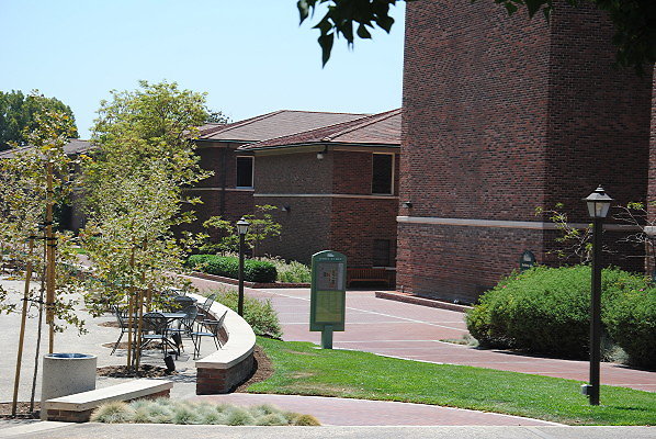 DSC 0201