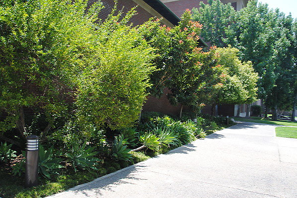 DSC 0193