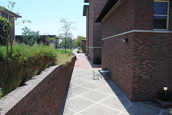 DSC 0202