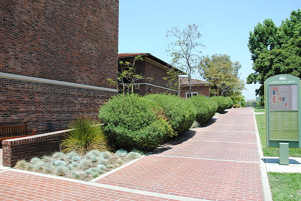 DSC 0212