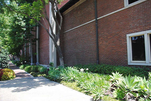 DSC 0191