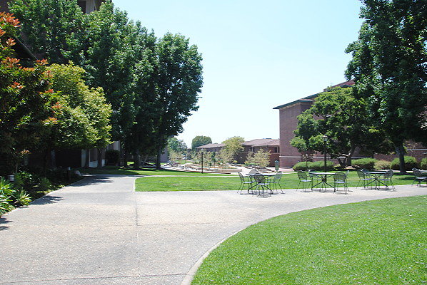 DSC 0194