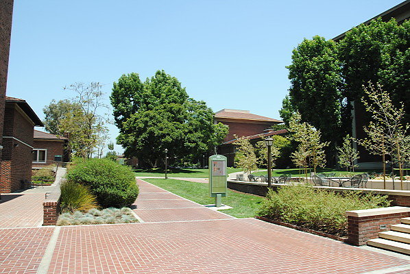 DSC 0217