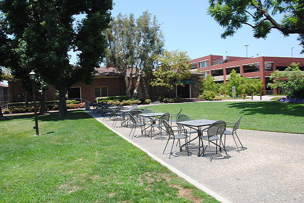DSC 0186