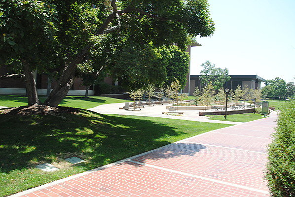 DSC 0209