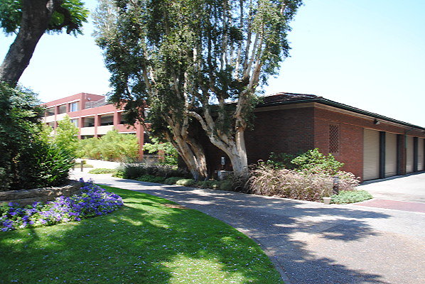 DSC 0196