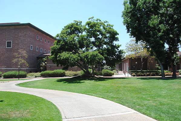 DSC 0183