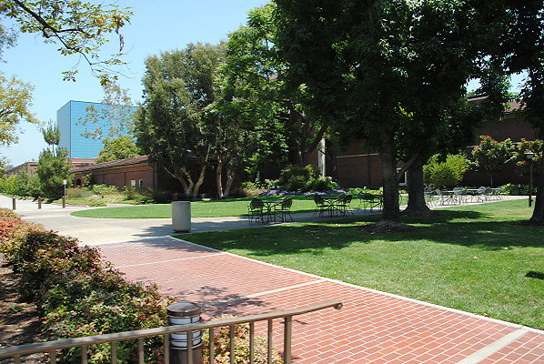 DSC 0207