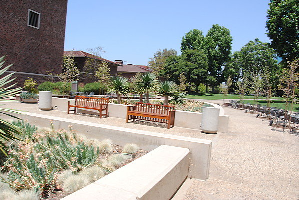 DSC 0240