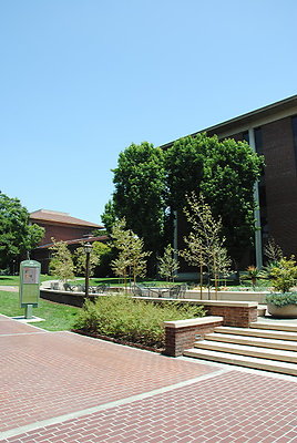DSC 0220