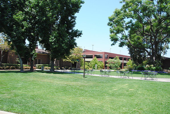 DSC 0184