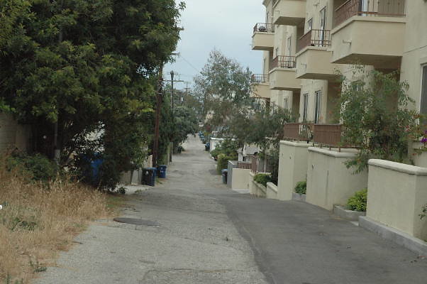 DSC 0071