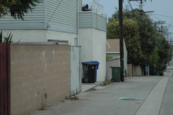 DSC 0009