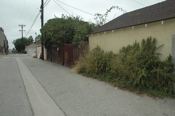 DSC 0012