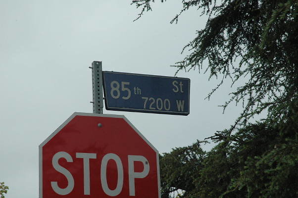 DSC 0004