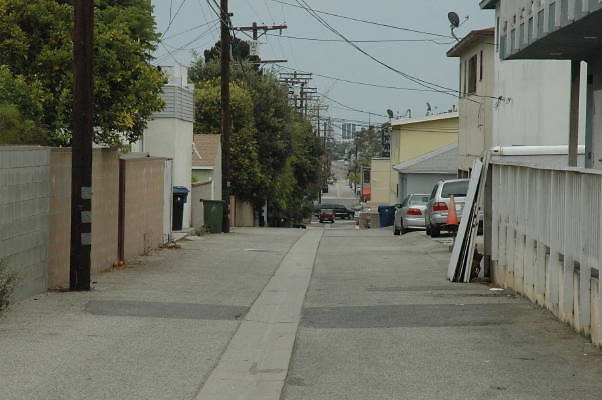 DSC 0007
