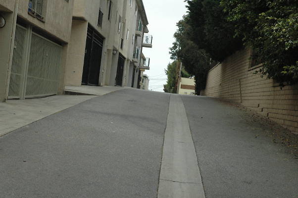 DSC 0100