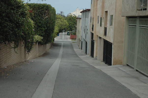 DSC 0105