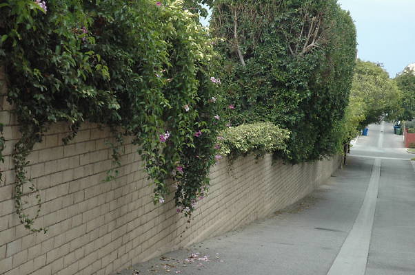 DSC 0106