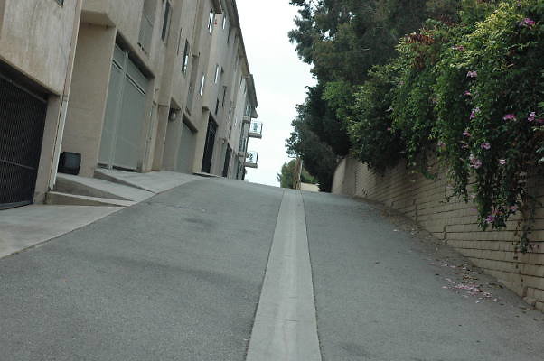 DSC 0099