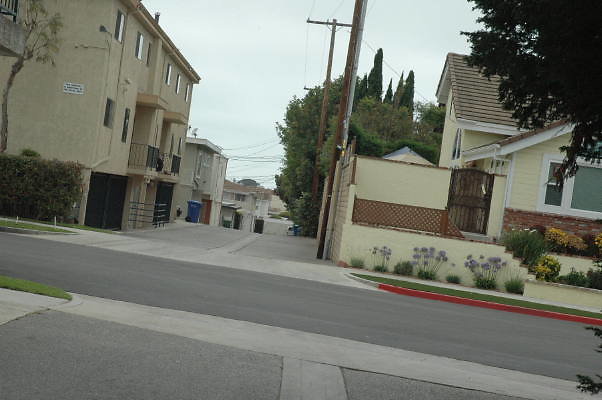 DSC 0102