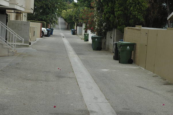 DSC 0092