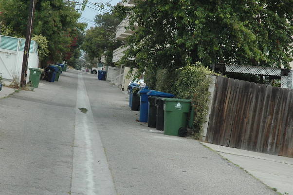 DSC 0082