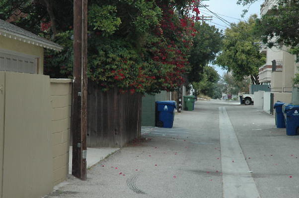 DSC 0085