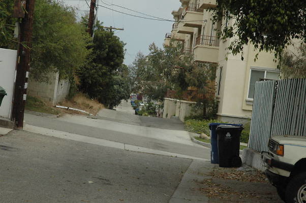 DSC 0088